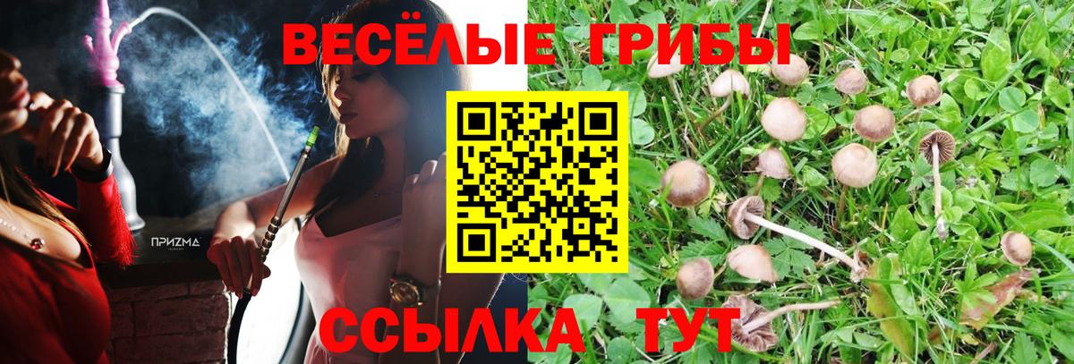 Псилоцибиновые грибы Magic Shrooms  Вход с VPN  Элиста 
