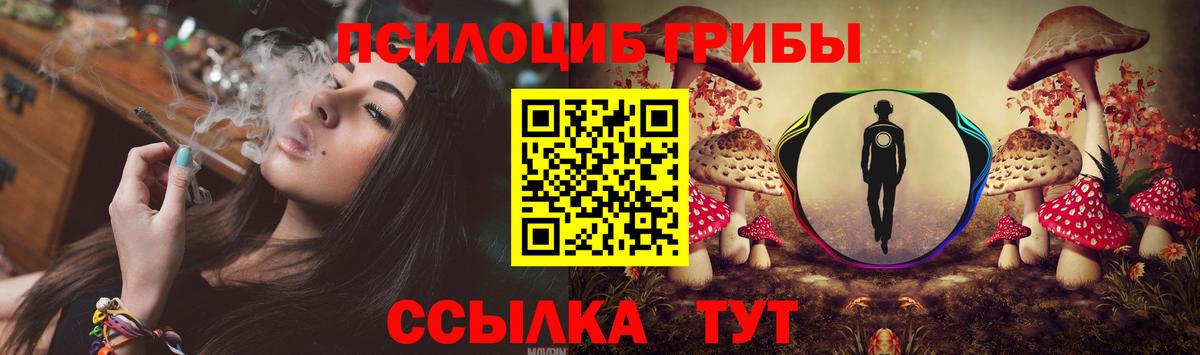 Псилоцибиновые грибы ЛСД Элиста