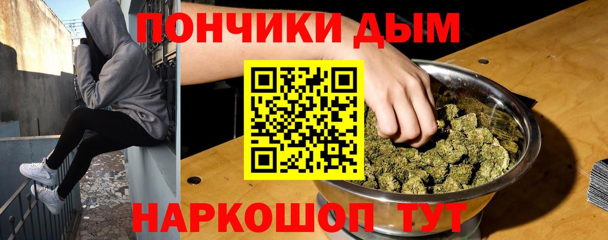 Каннабис сатива  Канабис планчик  Вход с VPN  Бошки марихуана LSD WEED  Элиста 